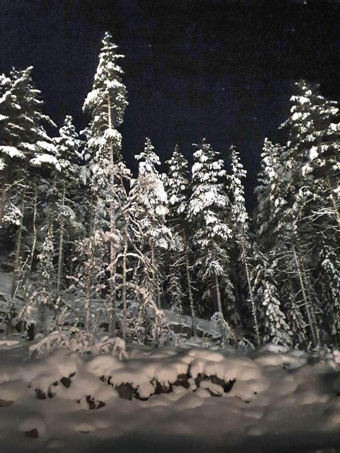 Stuga I Storklinten Harads Exterior photo